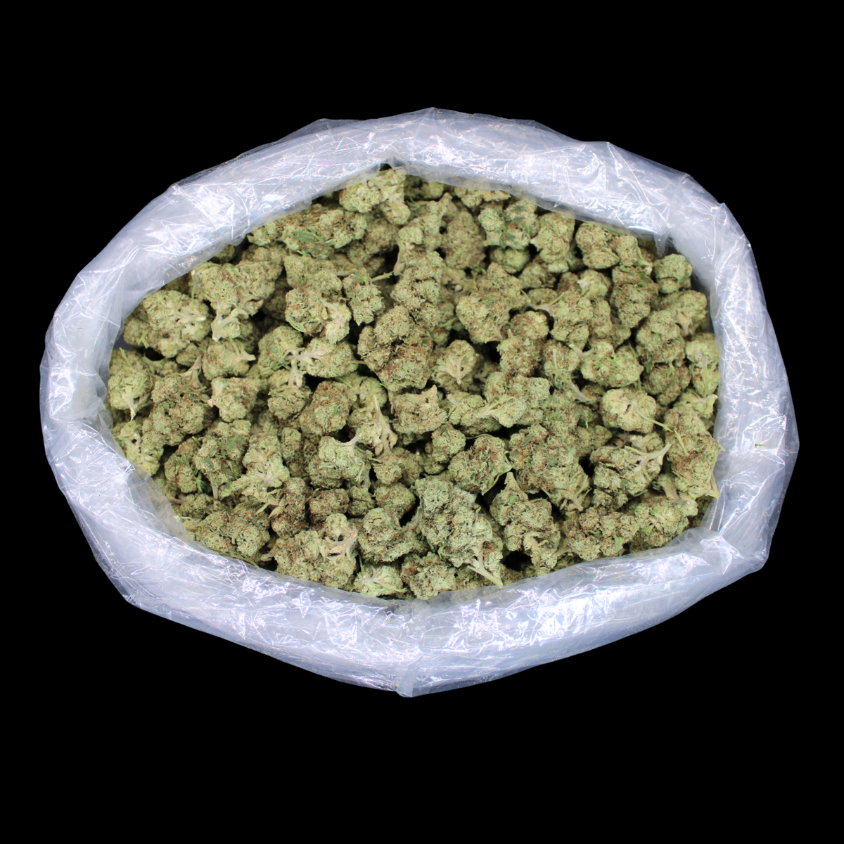 Acapulco Punch THCA Flower