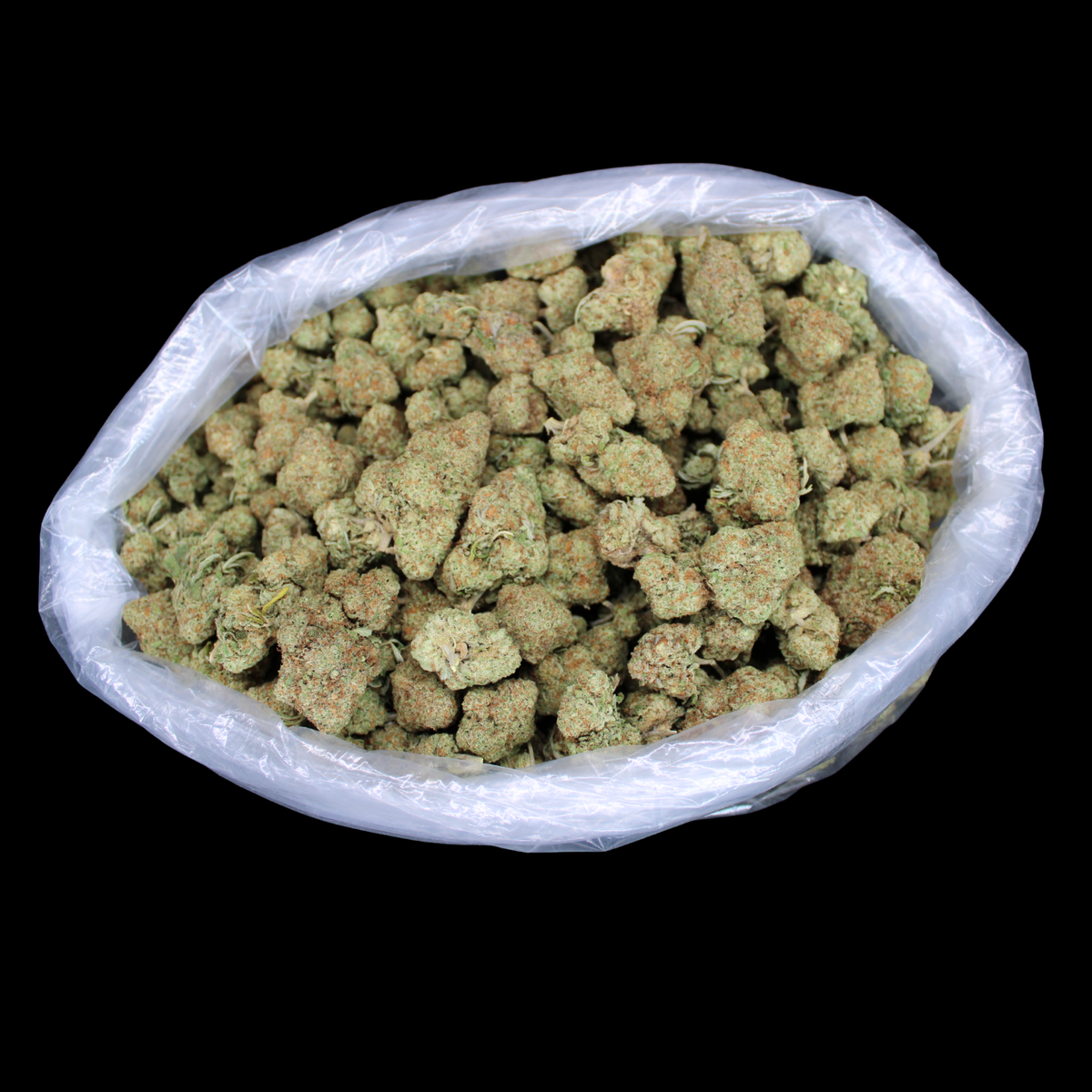 Acapulco Punch THCA Flower