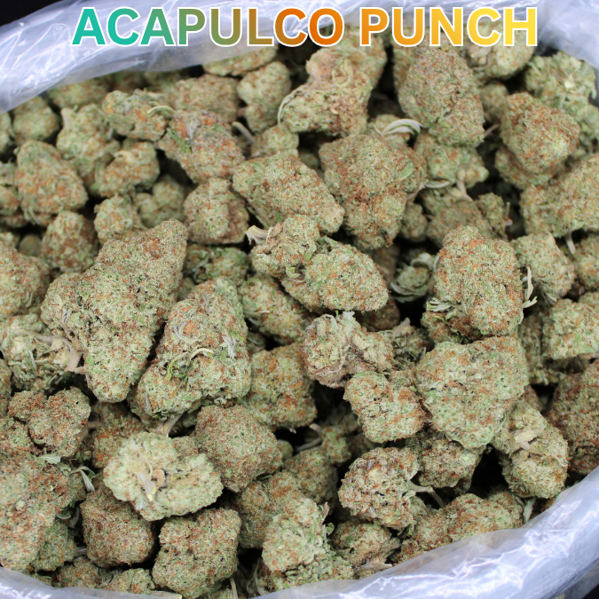 Acapulco Punch THCA Flower
