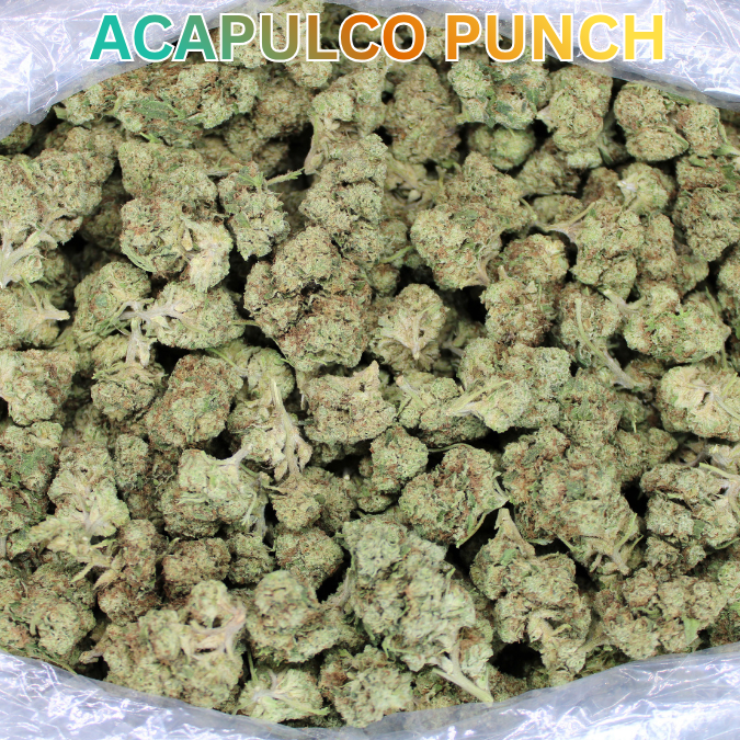 Acapulco Punch THCA Flower