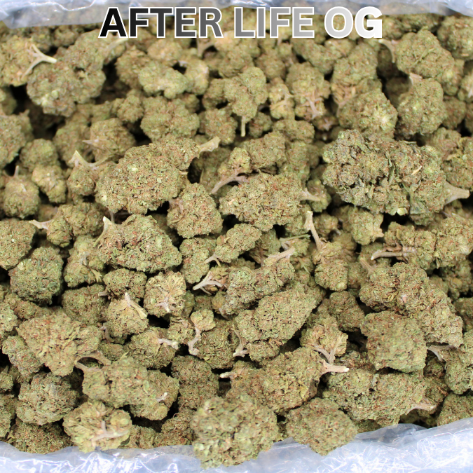 Cheap THCA Flower Ounce