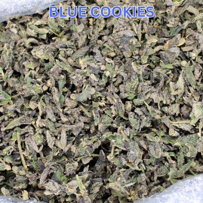 Blue Cookies THCA Trim