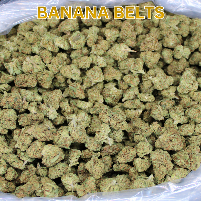 Light Assist THCA Smalls