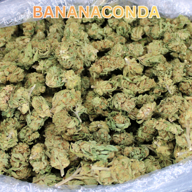 Cheap THCA Smalls Quarter Pound