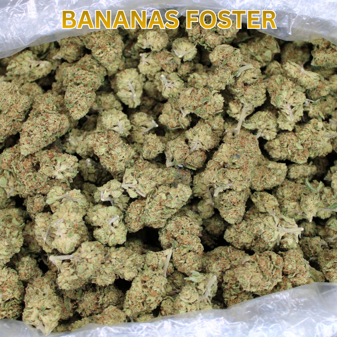 Bananas Foster THCA Flower