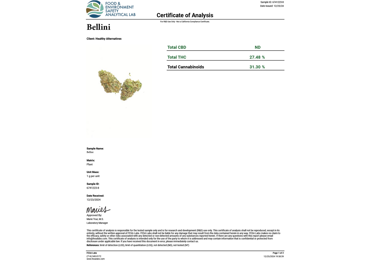 Bellini THCA Flower