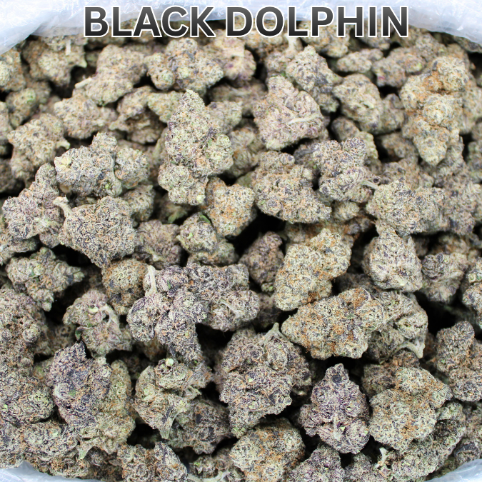 Cheap Indoor THCA Flower Ounce