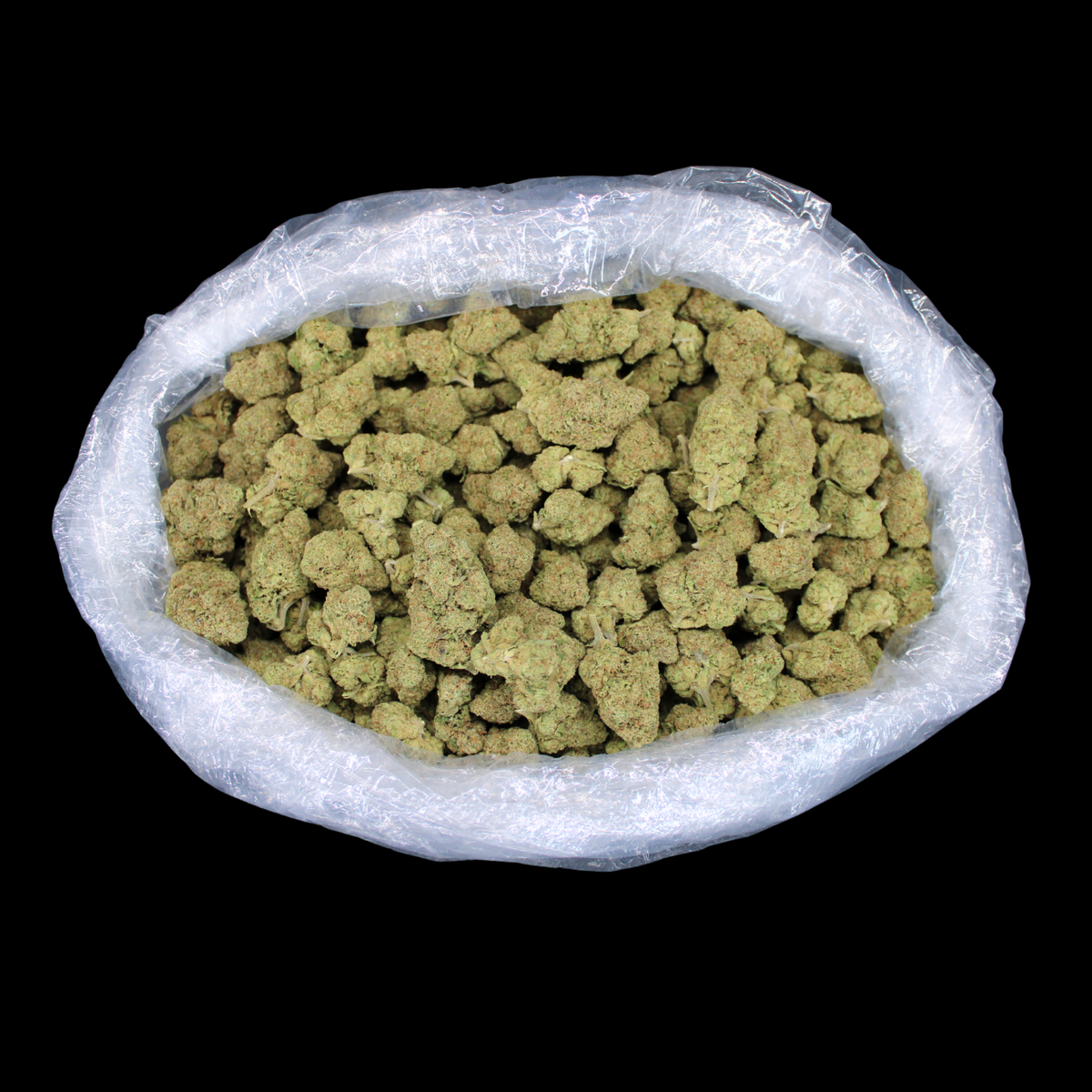 Blackberry Diesel THCA Flower