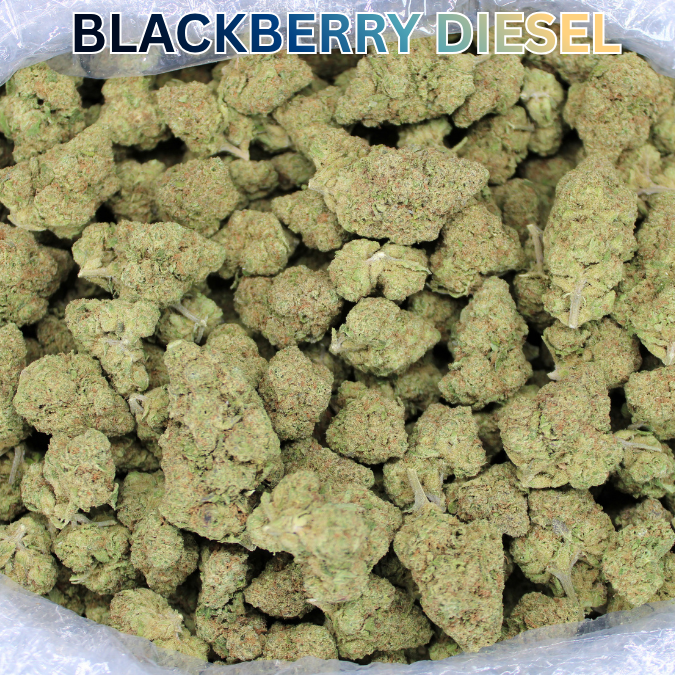 Blackberry Diesel THCA Flower