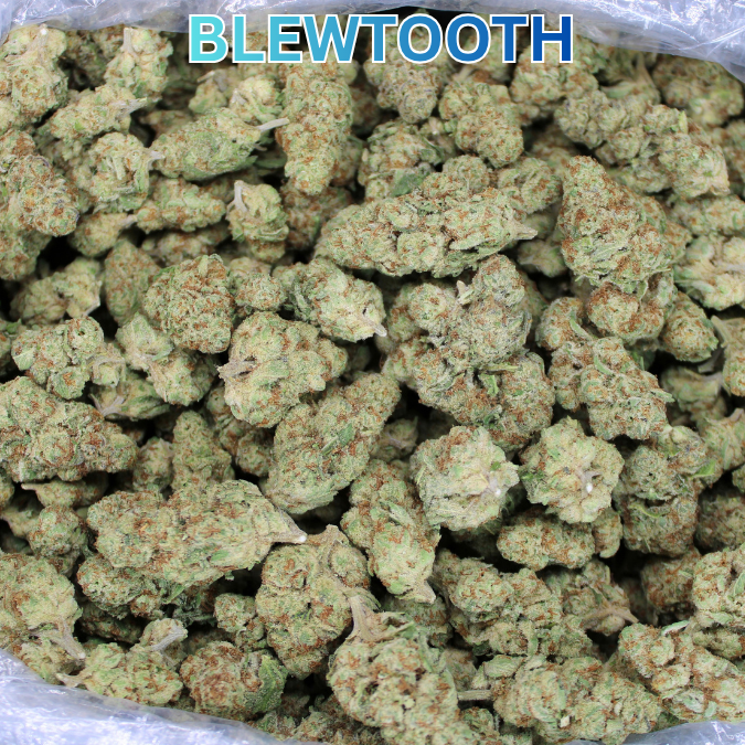 Blewtooth THCA Flower