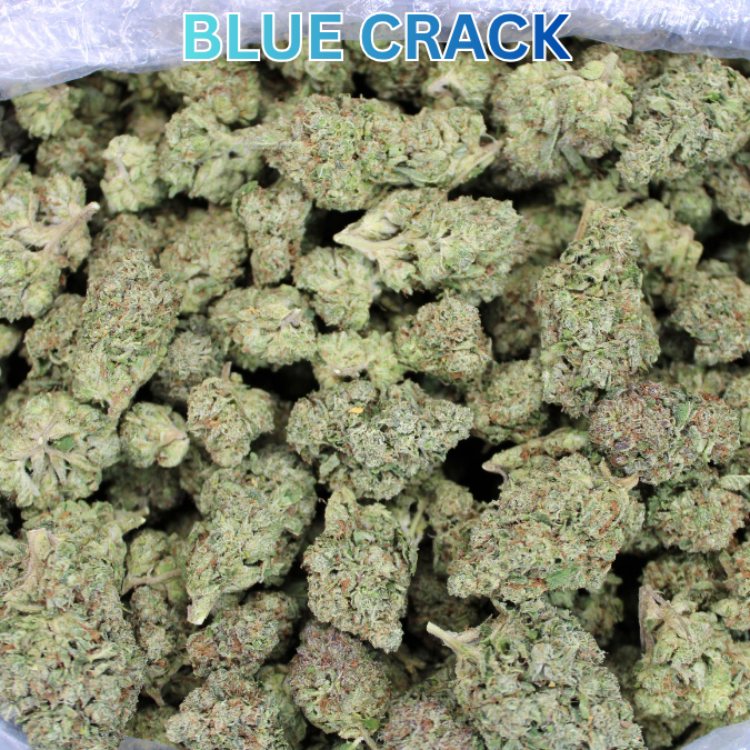Blue Crack THCA Flower