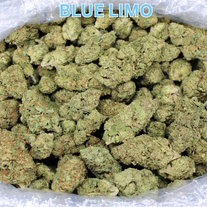 Blue Limo THCA Flower