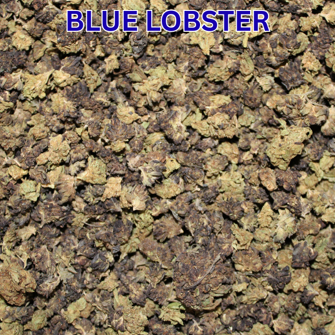 Cheap THCA Smalls Ounce