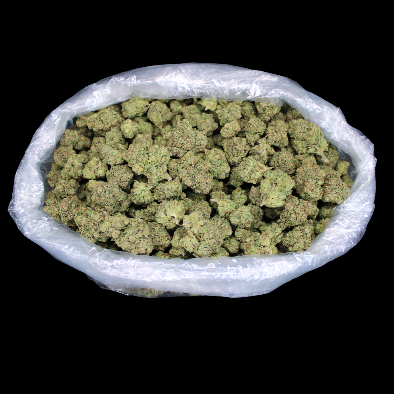 Blue Sharpiez THCA Flower