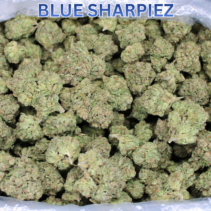 Blue Sharpiez THCA Flower