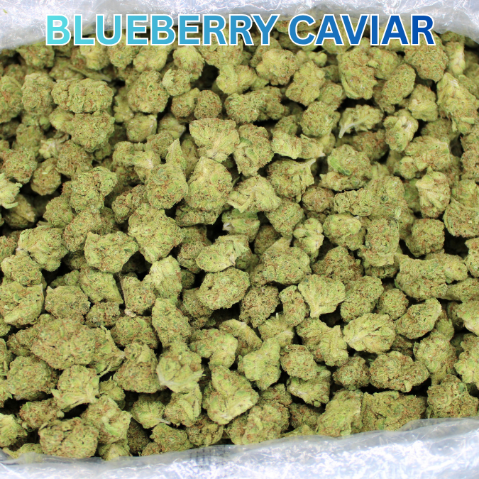 Bulk Indoor THCA Smalls