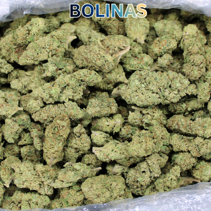 Bolinas THCA Flower