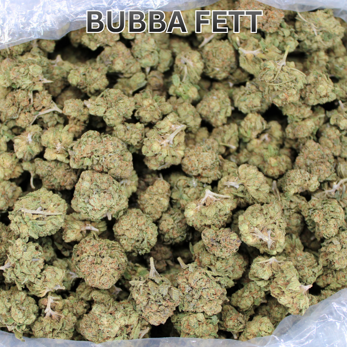 Bulk Indoor THCA Smalls