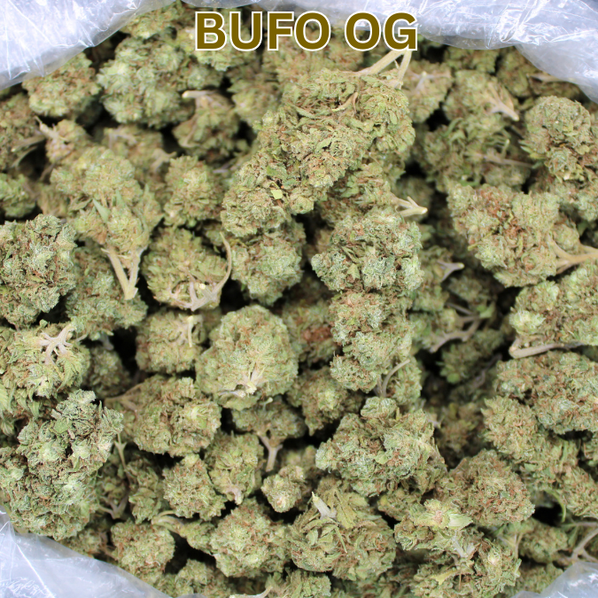 Toad Crossing THCA Flower - Cheap Oz