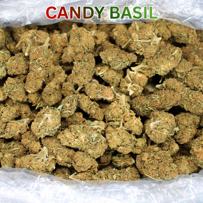 Cheap THCA Flower Pound