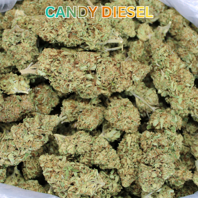 Candy Diesel THCA Flower