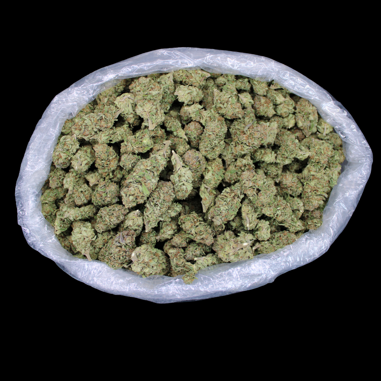 Candy Gas THCA Flower (Lemon Cut)