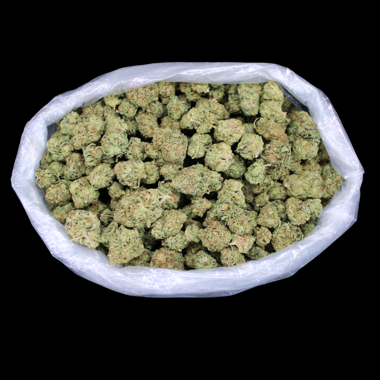 Candy Gas THCA Flower