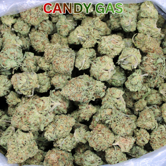 Candy Gas THCA Flower