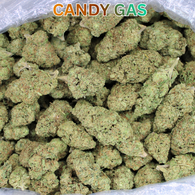 Candy Gas THCA Flower