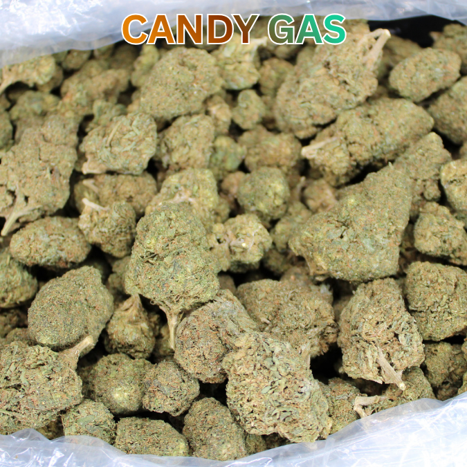 Candy Gas THCA Flower
