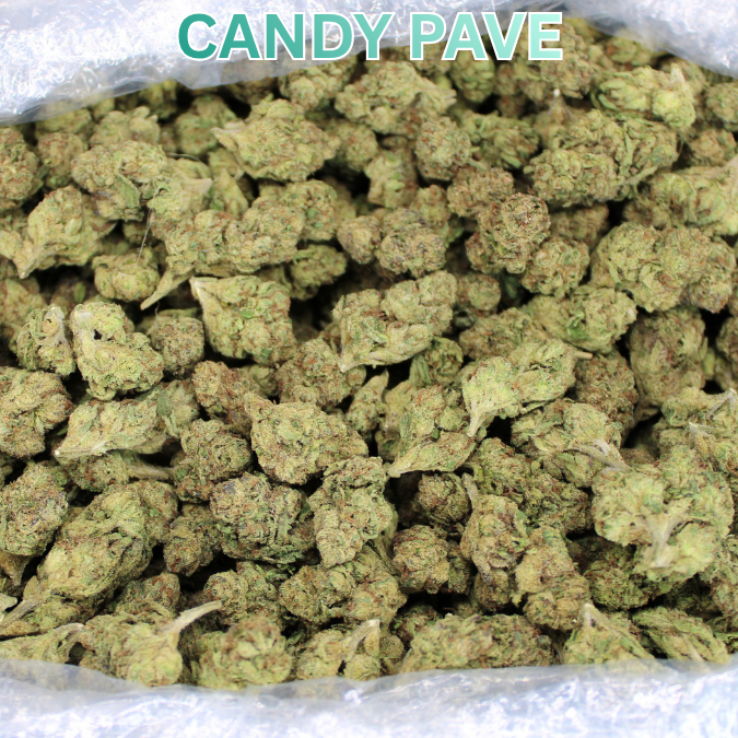 Bulk Indoor THCA Smalls