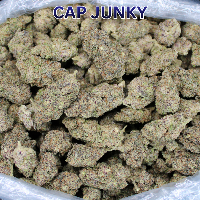 Cheap Indoor THCA Flower Ounce