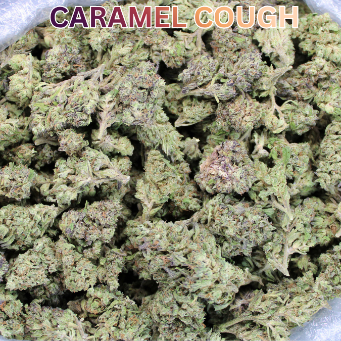 Cheap THCA Flower Pound