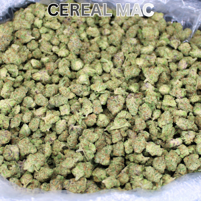 Bulk Indoor THCA Smalls