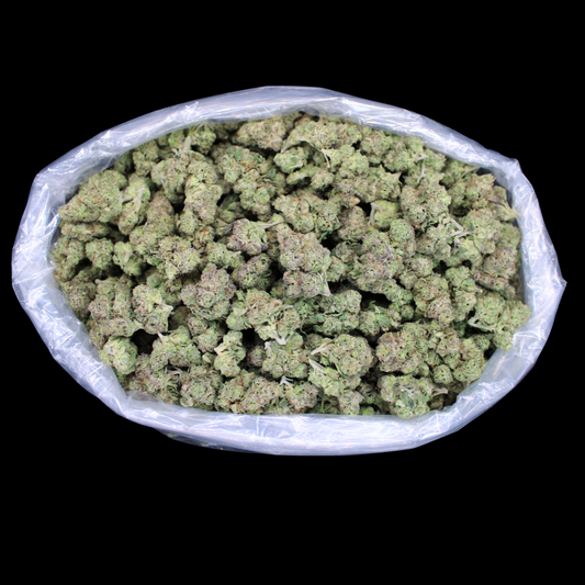 Champelli THCA Flower