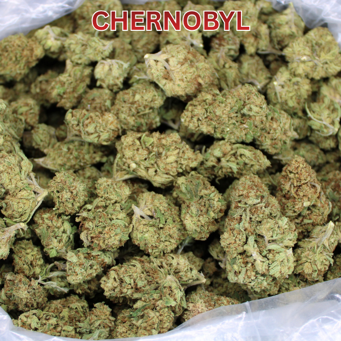 Chernobyl THCA Flower