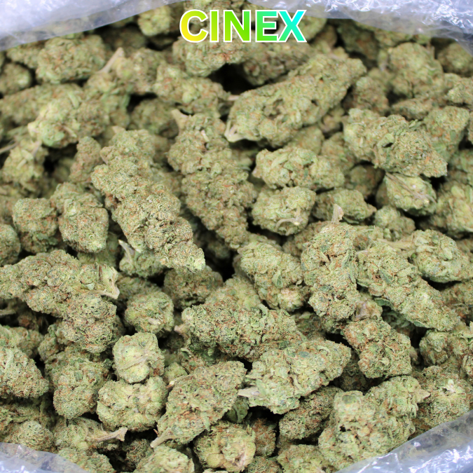 Cinex THCA Flower