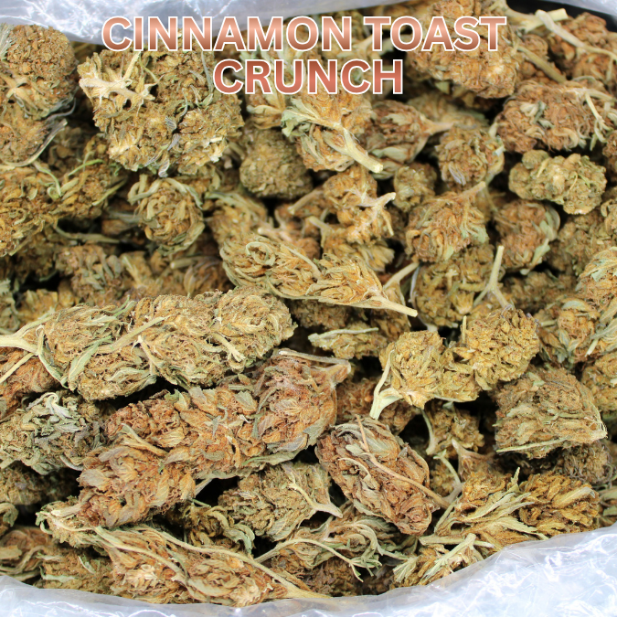 THCA Flower Budget Buds