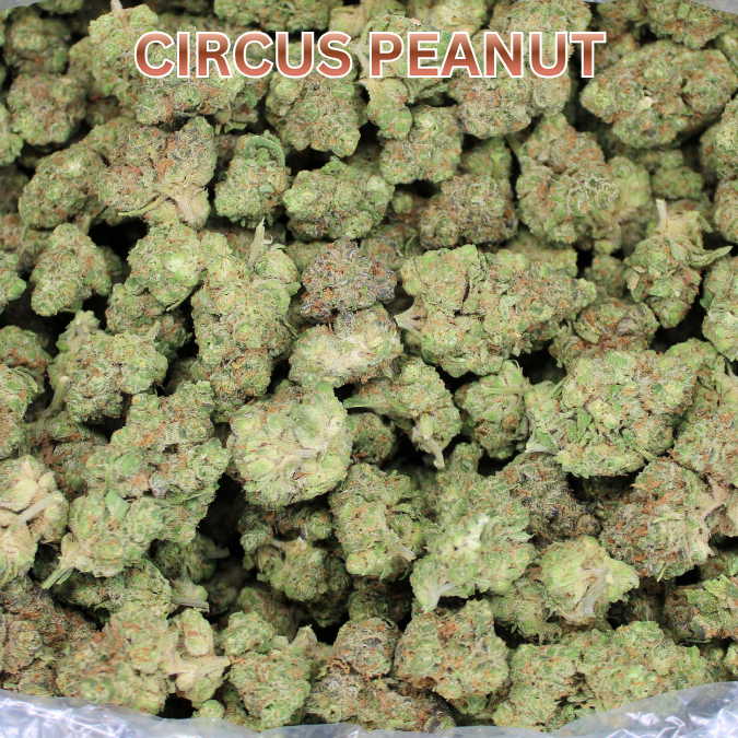Circus Peanut THCA Flower