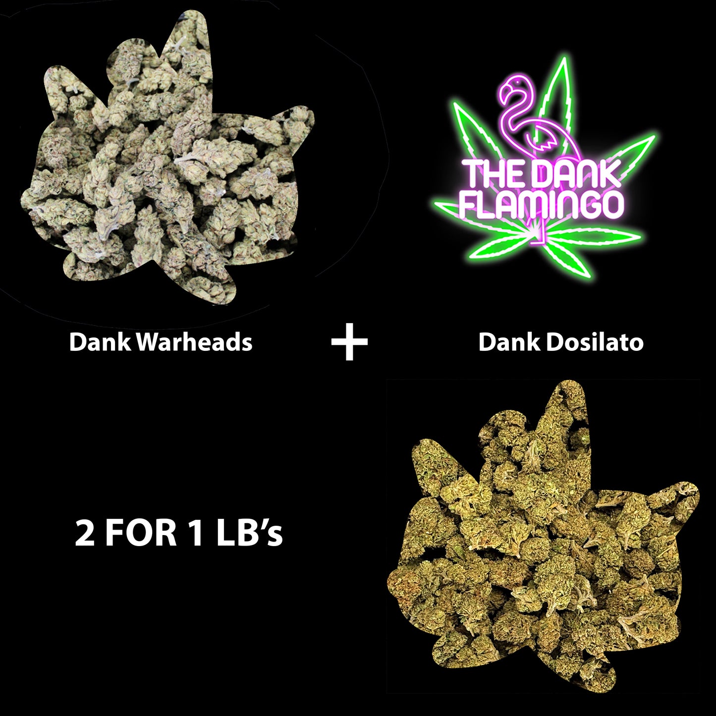 Bulk THCA Flower - 2 For 1 LBS