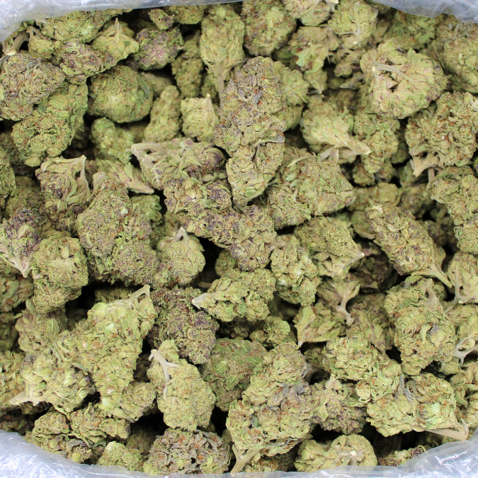 Dank Black Cherry Soda THCA Flower