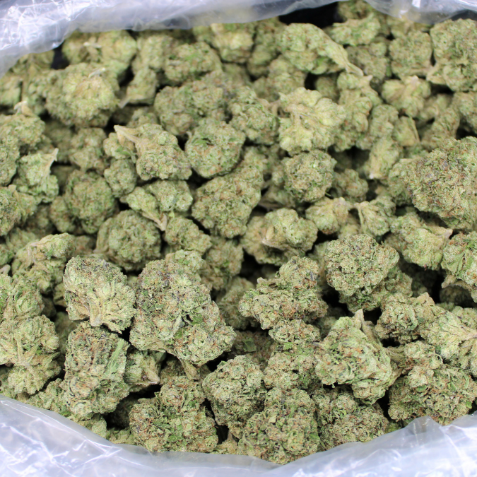 Dank Blueberry Cruffin THCA Flower