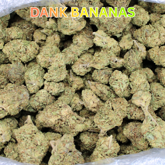 Dank Banana OG THCA Flower