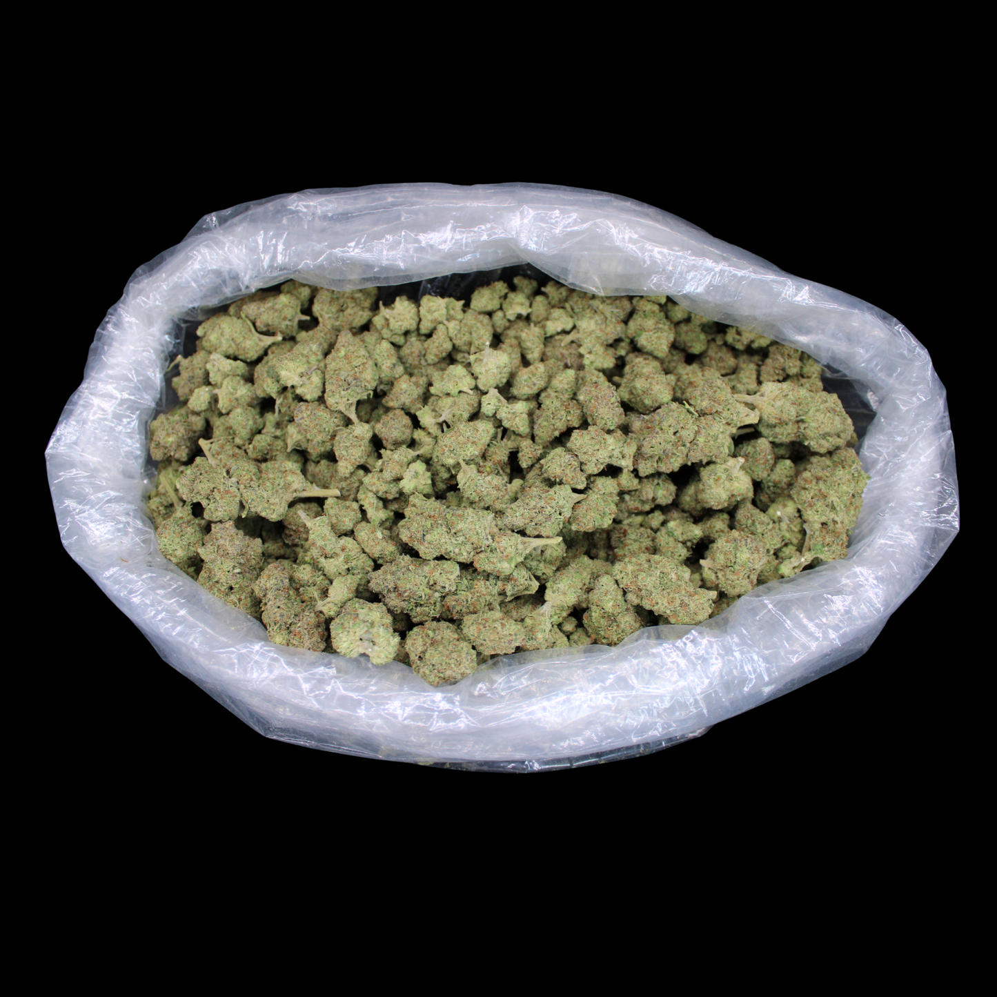 Dank Blue Skunk THCA Flower