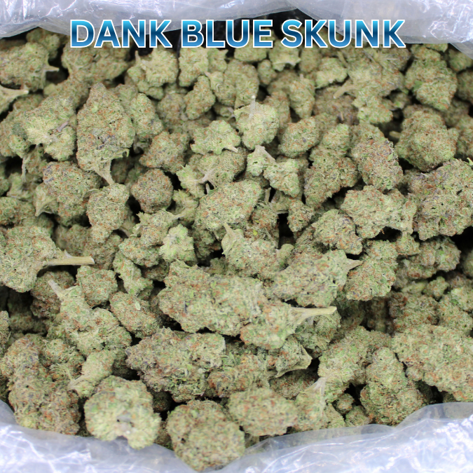Dank Blue Skunk THCA Flower