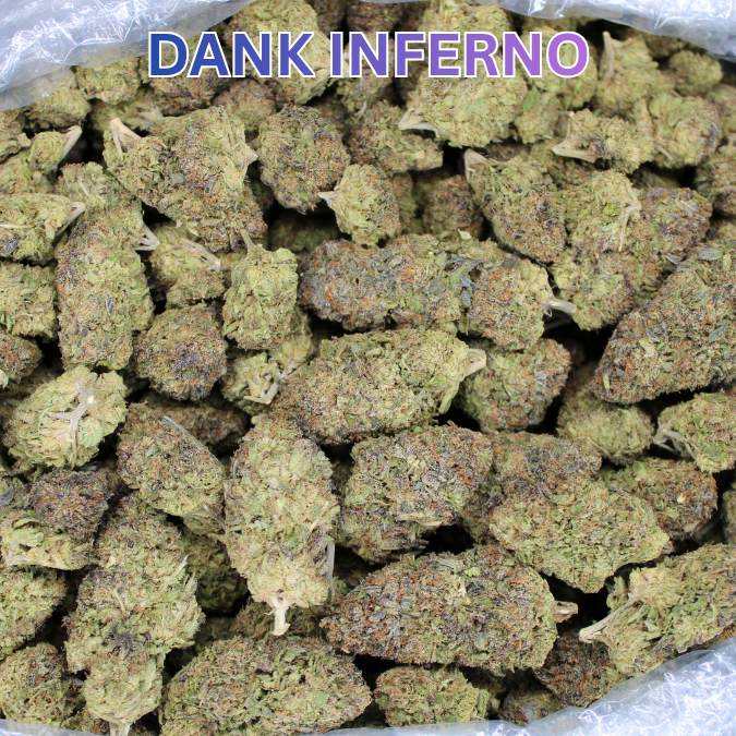 Dank Inferno THCA Flower