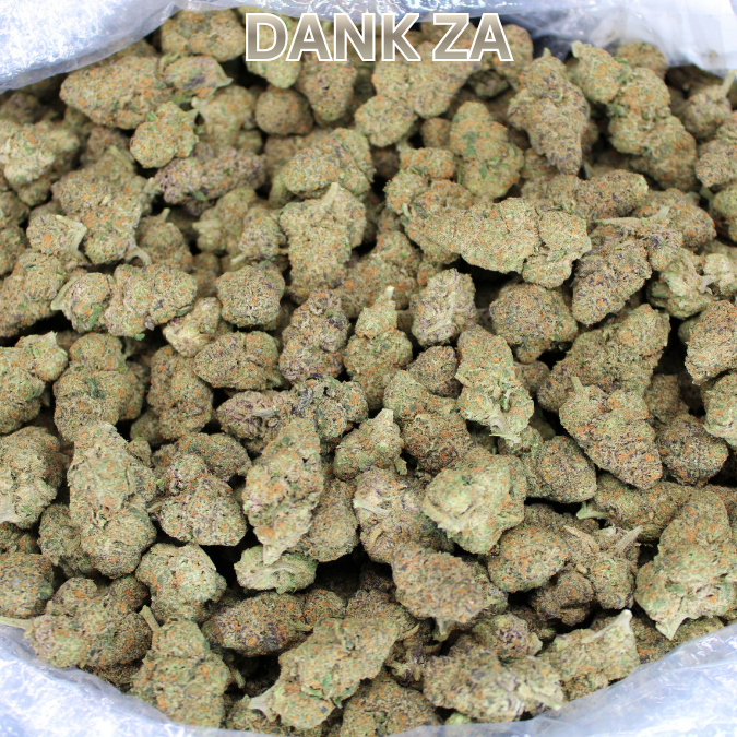Dank ZA THCA Flower - Cheap OZ