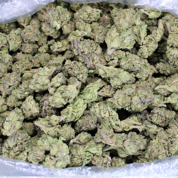 Dank Gatorade THCA Flower - Cheap OZ