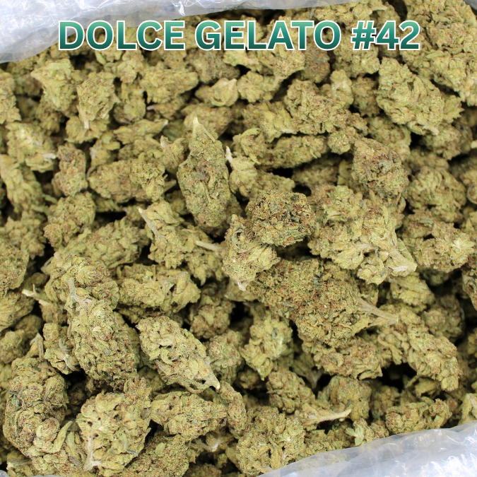 Dolce Gelato THCA Flower