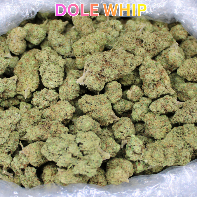 Dole Whip THCA Flower